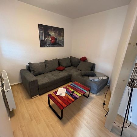 Apartment Napoleon, Naehe Zentrum, 2 Schlafzimmer, Grosser Balkon, Free Wifi ,Parken Jena Exteriér fotografie